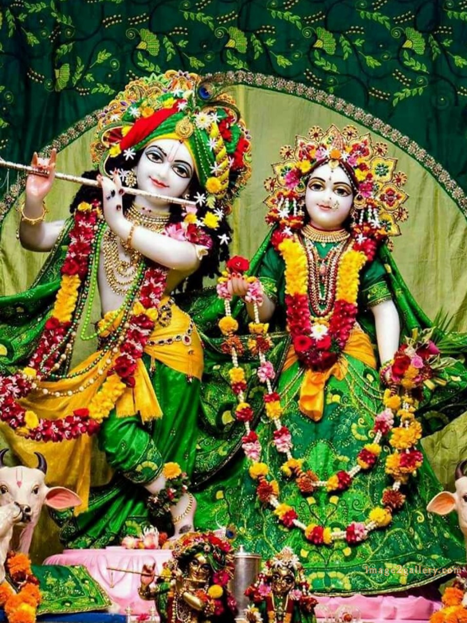 1200+ Krishna Images hd - Krishna Radha Photo : 491 krishna images (12)