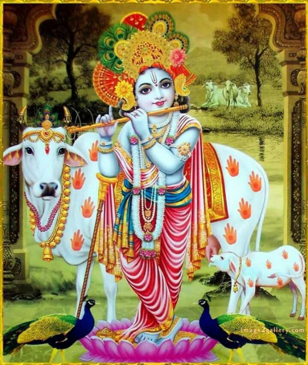 1200+ Krishna Images hd - Krishna Radha Photo : 496 krishna images baby (1)