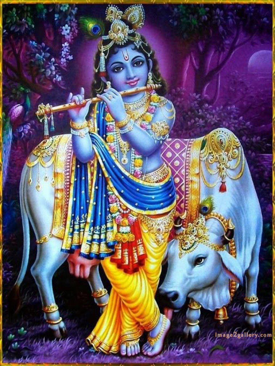1200+ Krishna Images hd - Krishna Radha Photo : 514 krishna images baby (17)