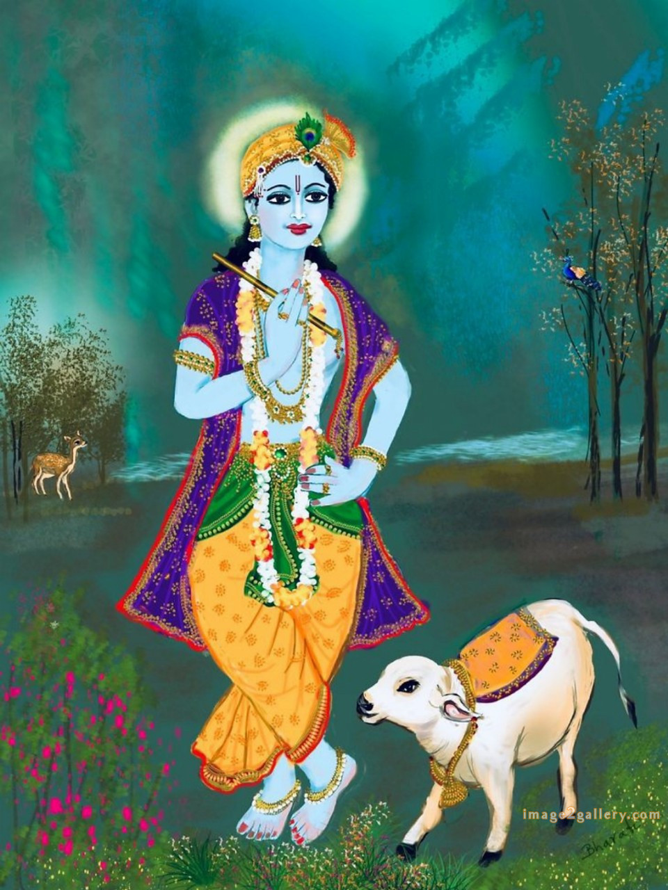 1200+ Krishna Images hd - Krishna Radha Photo : 540 krishna images drawing (7)