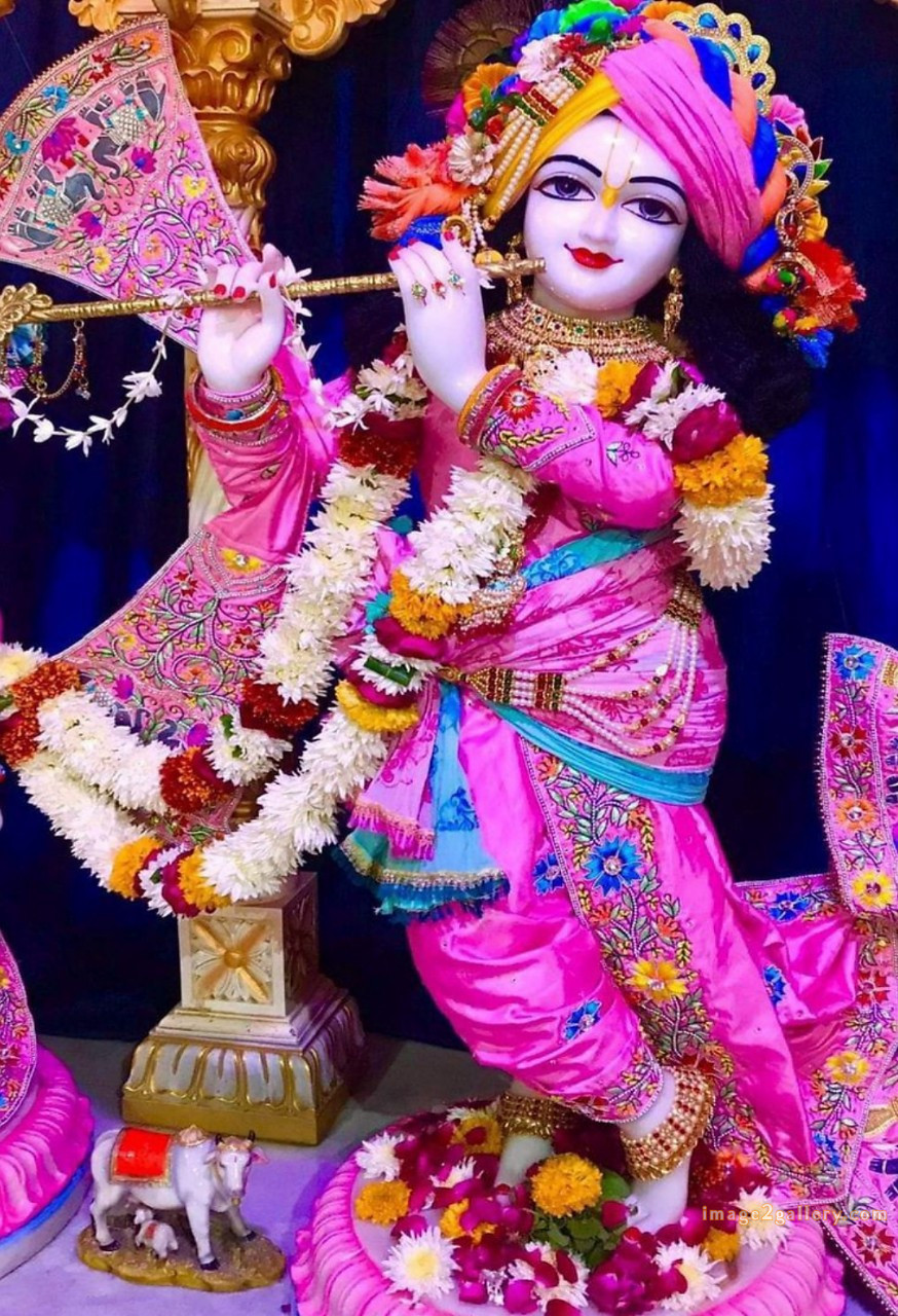 1200+ Krishna Images hd - Krishna Radha Photo : 550 krishna images for dp (4)