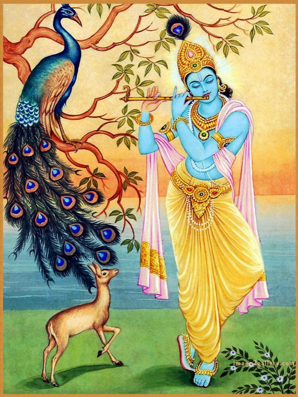 1200+ Krishna Images hd - Krishna Radha Photo : 559 krishna images for dp (7)