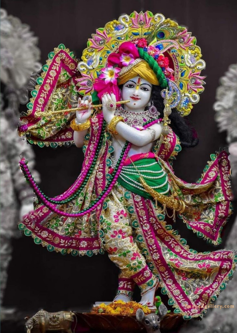 1200+ Krishna Images hd - Krishna Radha Photo : 570 krishna images for wallpaper (3)