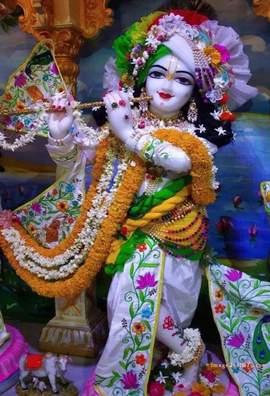 1200+ Krishna Images hd - Krishna Radha Photo : 575 krishna images for wallpaper (8)