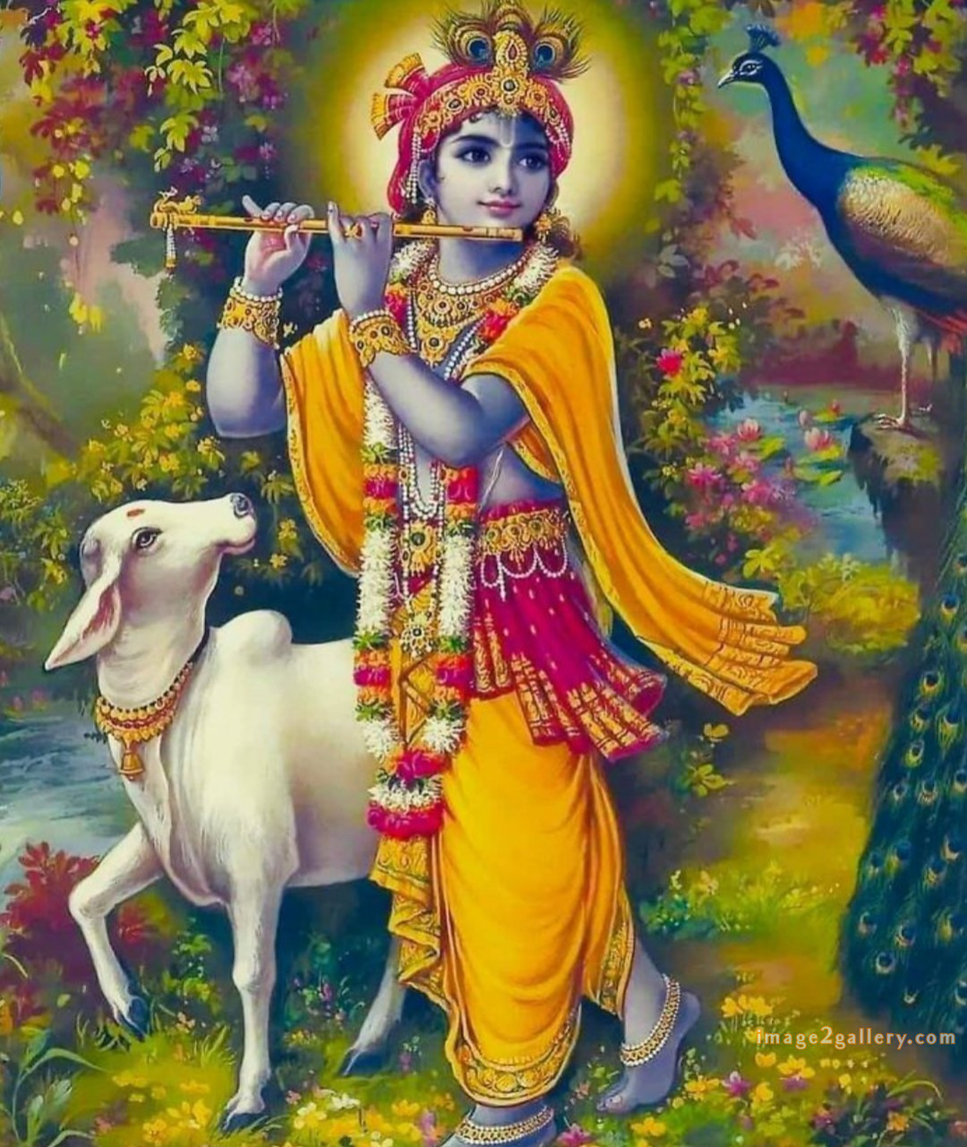 1200+ Krishna Images hd - Krishna Radha Photo : 631 krishna images hd 1080p(20)