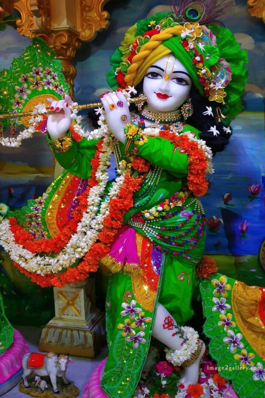 1200+ Krishna Images hd - Krishna Radha Photo : 589 krishna images hd (6)