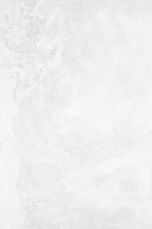 500+ White Background Image Free Download | White Background | 499 photos of white background - (10)