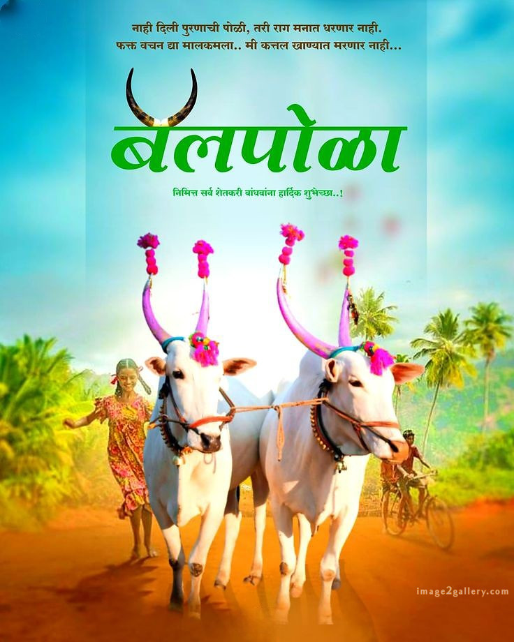 100+ Bail Pola Wishes In Marathi | बैल पोळा शुभेच्छा संदेश मराठीत | 38 pola festival wishes in marathi -(12)