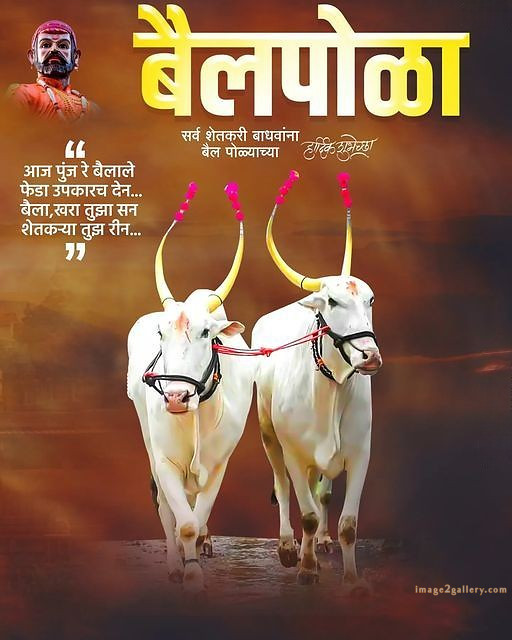 100+ Bail Pola Wishes In Marathi | बैल पोळा शुभेच्छा संदेश मराठीत | 68 pola festival wishes in marathi -(14)
