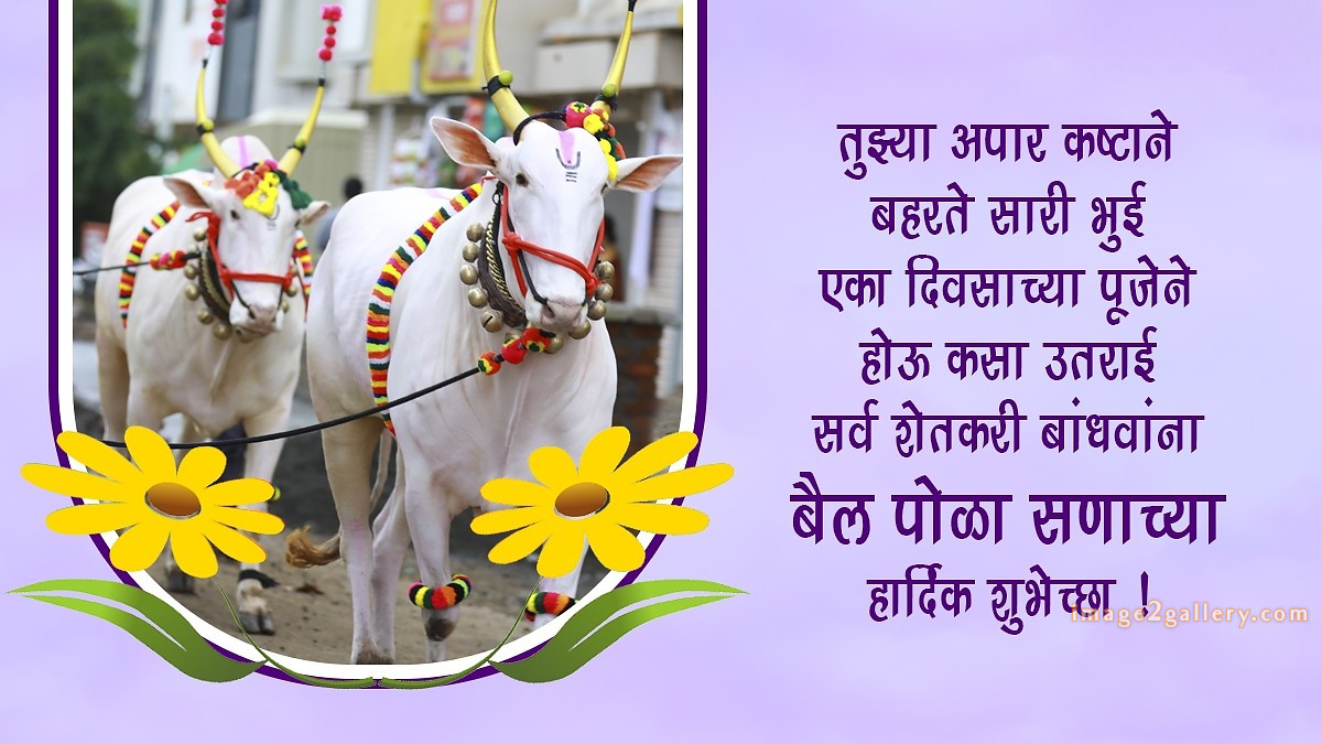 100+ Bail Pola Wishes In Marathi | बैल पोळा शुभेच्छा संदेश मराठीत | 83 pola festival wishes in marathi -(3)