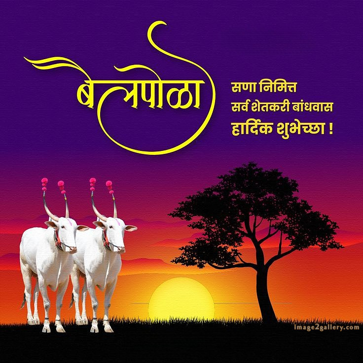 100+ Bail Pola Wishes In Marathi | बैल पोळा शुभेच्छा संदेश मराठीत | 35 pola festival wishes in marathi -(6)