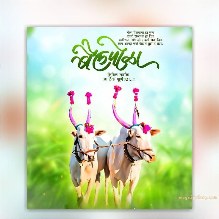 100+ Bail Pola Wishes In Marathi | बैल पोळा शुभेच्छा संदेश मराठीत | 81 pola festival wishes in marathi -(8)