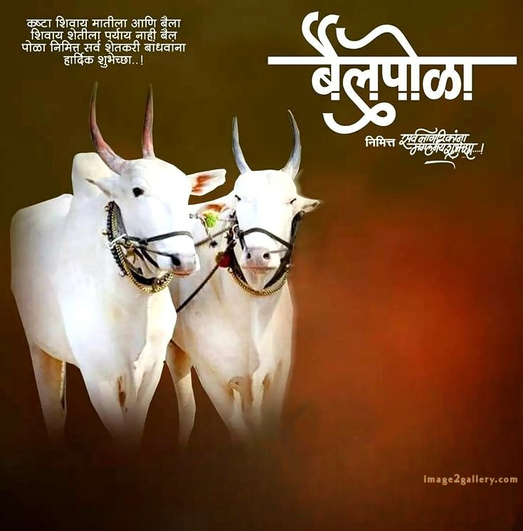 100+ Bail Pola Wishes In Marathi | बैल पोळा शुभेच्छा संदेश मराठीत | 103 pola wishes images -(11)