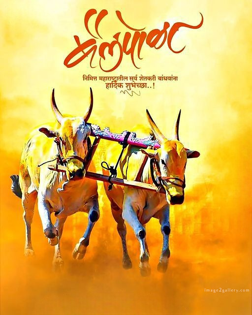 100+ Bail Pola Wishes In Marathi | बैल पोळा शुभेच्छा संदेश मराठीत | 13 pola wishes images -(6)