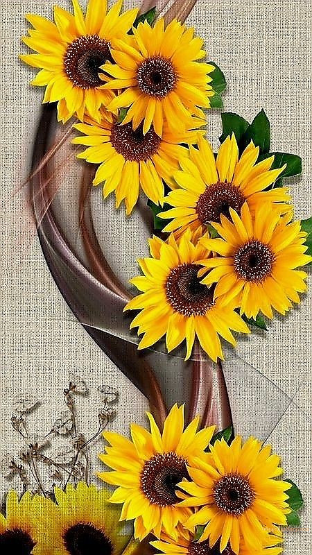 700+ Cute Flower Wallpaper Free Download | Beautiful Flowers Wallpapers for Mobile | 363 sunflower iphone wallpaper -2(1)