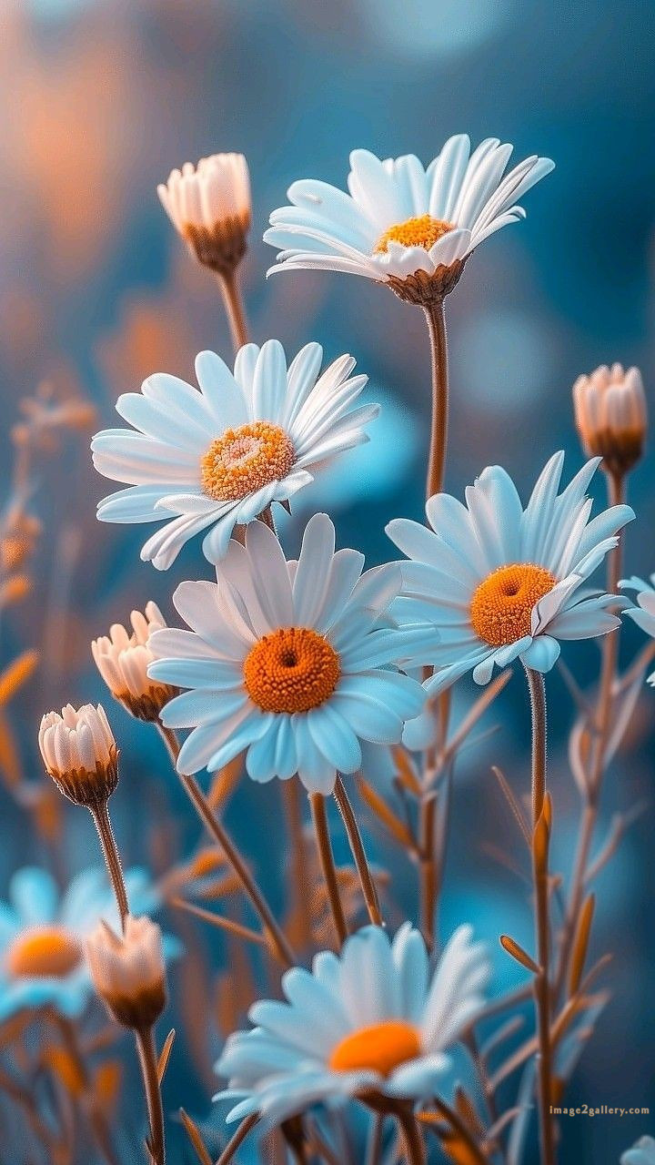 700+ Cute Flower Wallpaper Free Download | Beautiful Flowers Wallpapers for Mobile | 645 wallpaper flower aesthetic -(1)