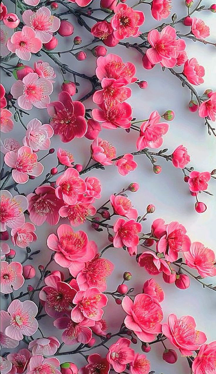 700+ Cute Flower Wallpaper Free Download | Beautiful Flowers Wallpapers for Mobile | 663 wallpaper flower aesthetic -(19)