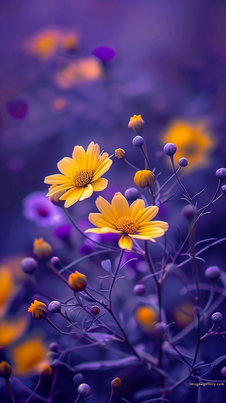 700+ Cute Flower Wallpaper Free Download | Beautiful Flowers Wallpapers for Mobile | 203 wallpaper flower aesthetic -(27)