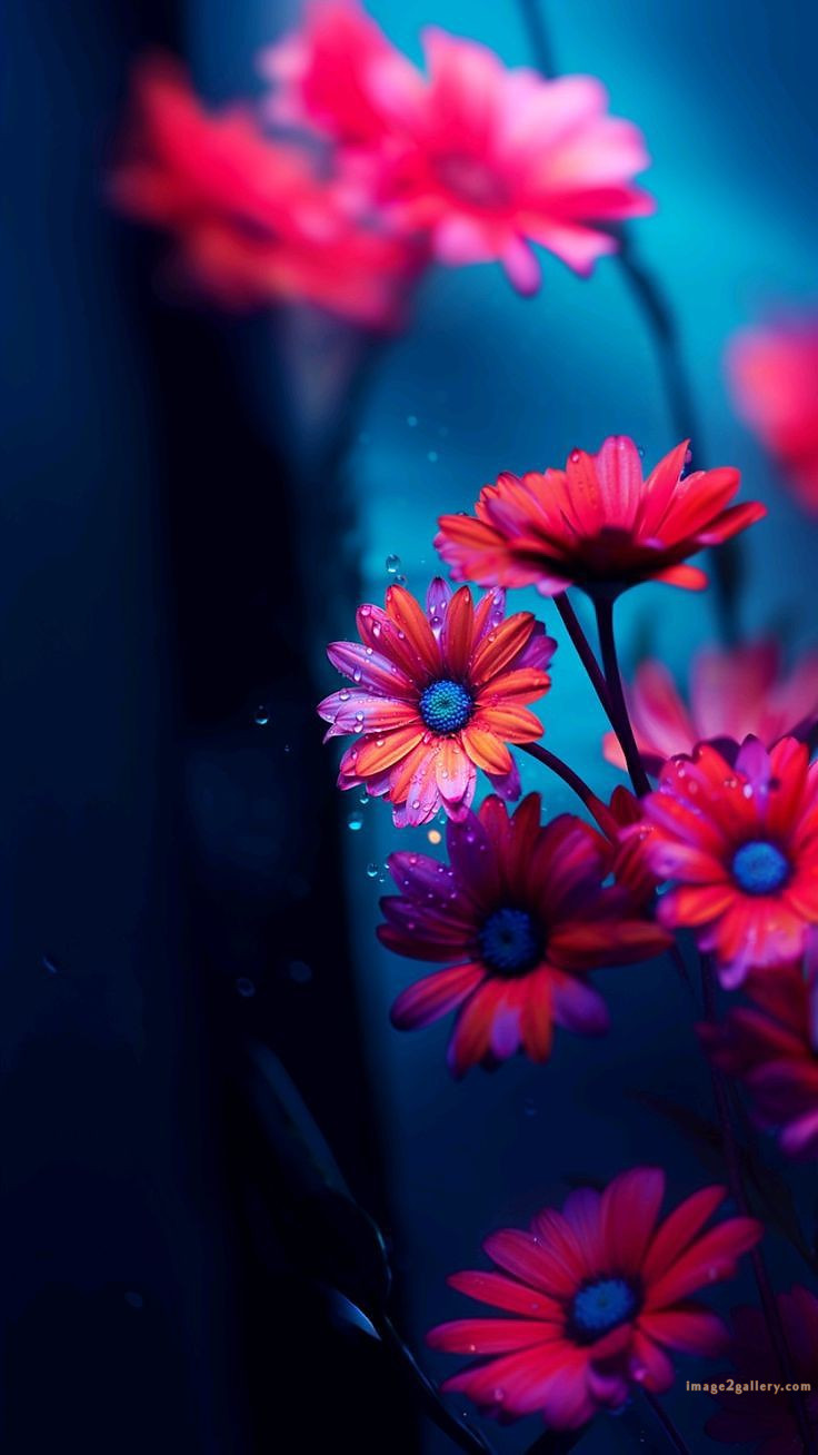 700+ Cute Flower Wallpaper Free Download | Beautiful Flowers Wallpapers for Mobile | 643 wallpaper flower aesthetic -(3)