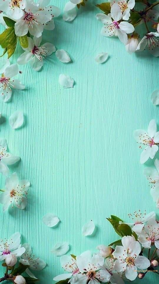 700+ Cute Flower Wallpaper Free Download | Beautiful Flowers Wallpapers for Mobile | 576 wallpaper flower aesthetic -(36)