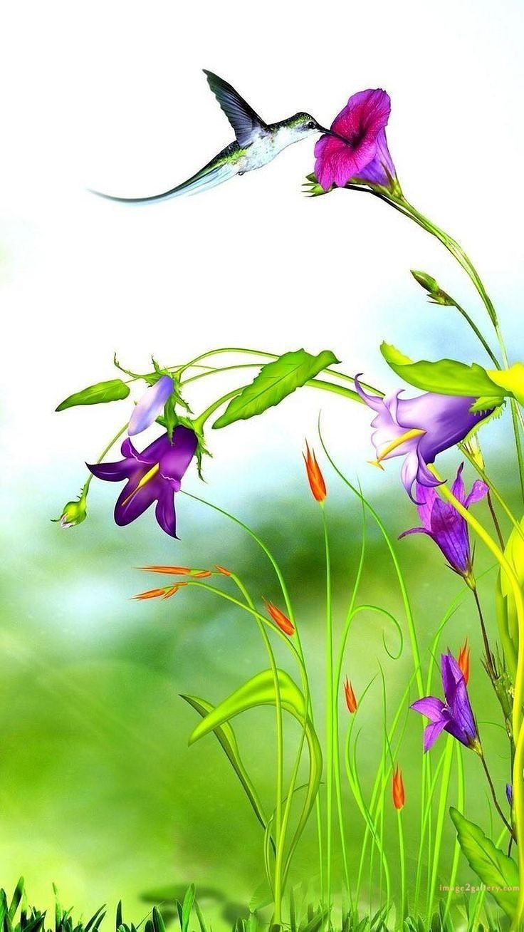700+ Cute Flower Wallpaper Free Download | Beautiful Flowers Wallpapers for Mobile | 584 wallpaper flower free -(3)