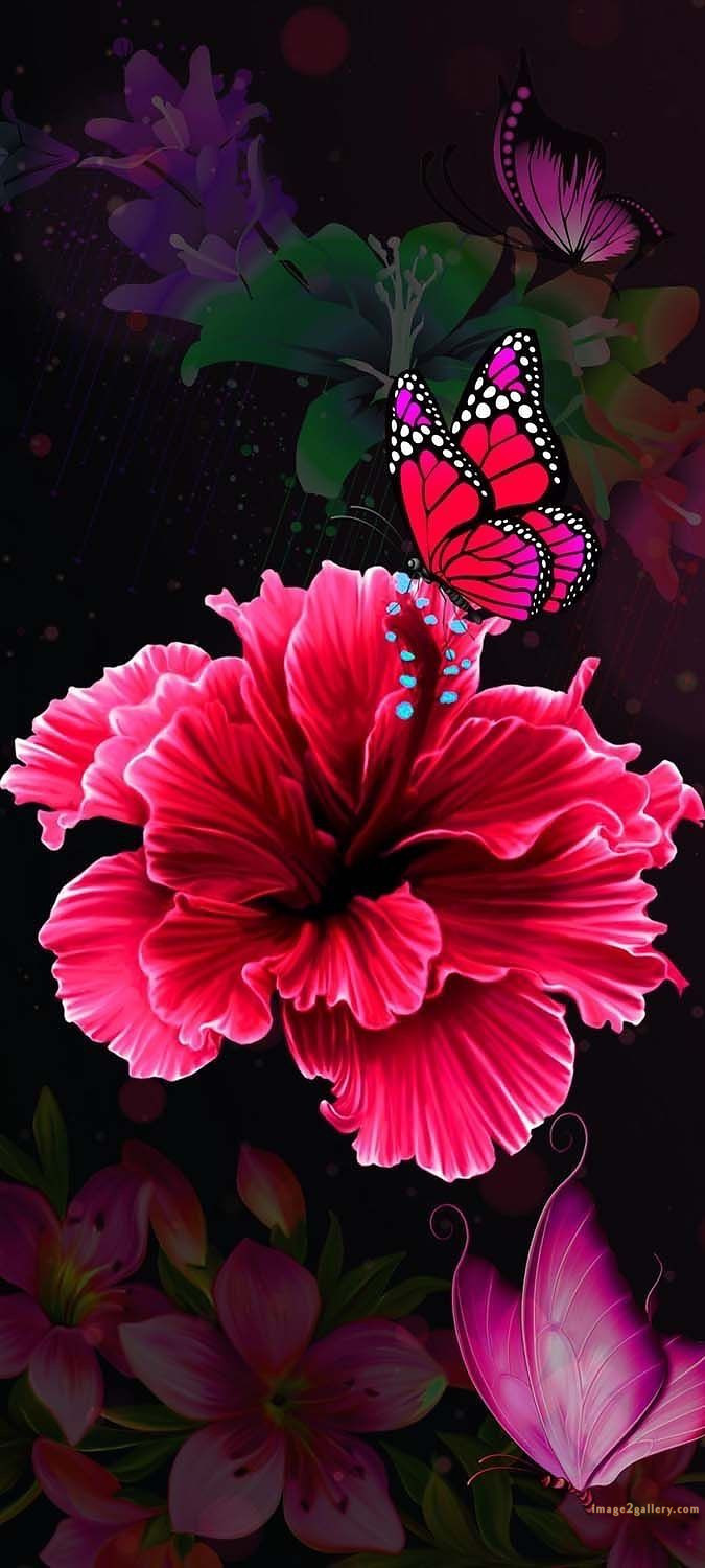 700+ Cute Flower Wallpaper Free Download | Beautiful Flowers Wallpapers for Mobile | 583 wallpaper flower free -(6)
