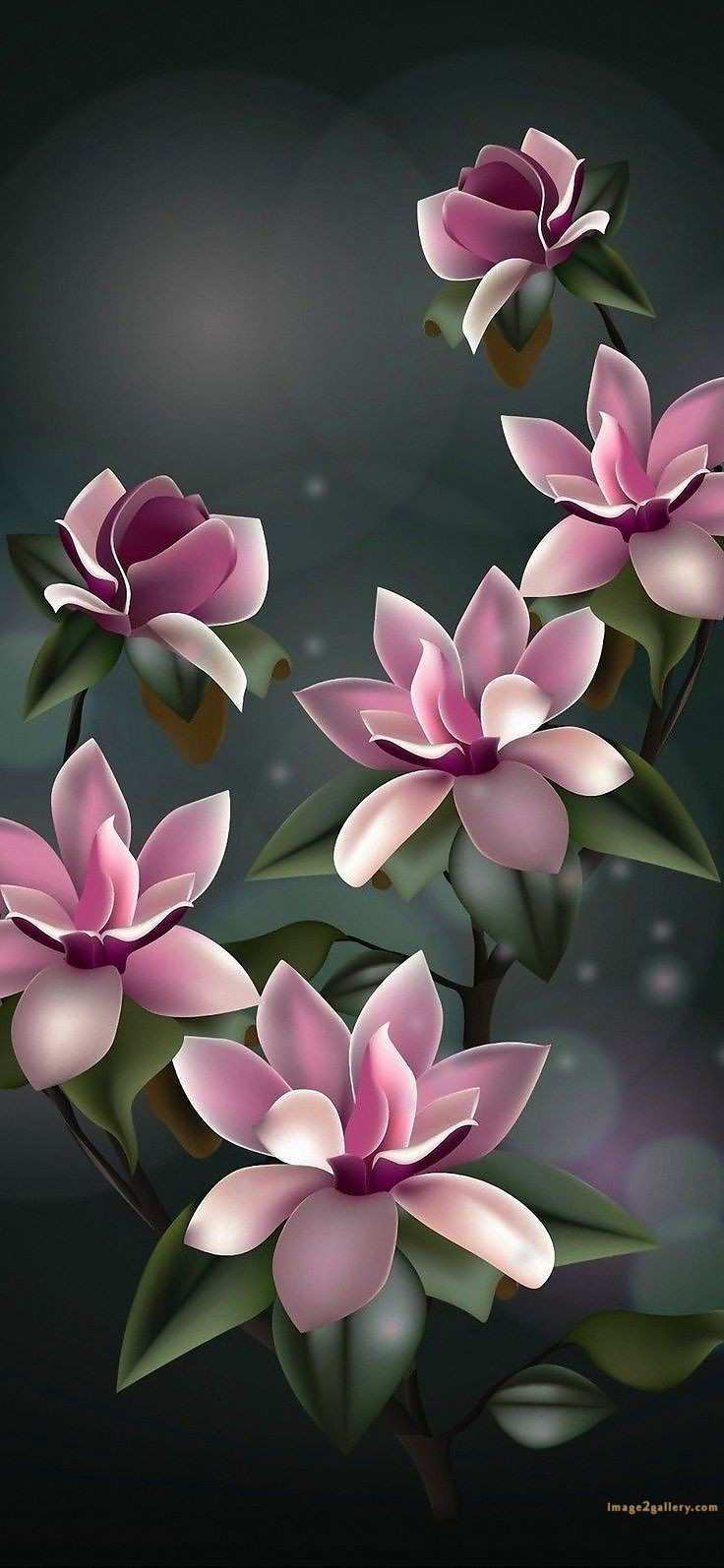 700+ Cute Flower Wallpaper Free Download | Beautiful Flowers Wallpapers for Mobile | 587 wallpaper flower free -(8)