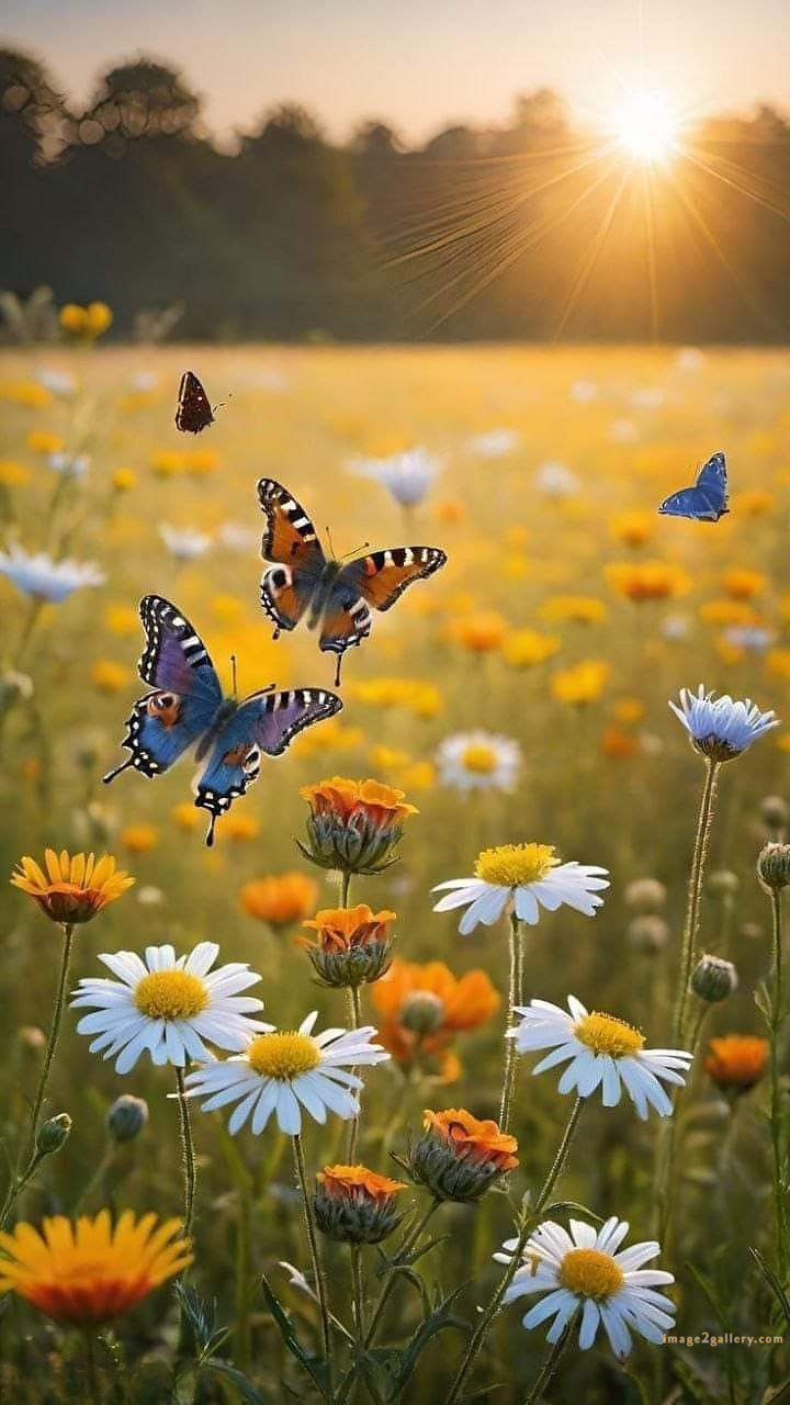 700+ Cute Flower Wallpaper Free Download | Beautiful Flowers Wallpapers for Mobile | 234 wallpaper flower hd -