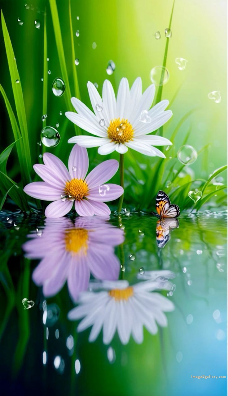 700+ Cute Flower Wallpaper Free Download | Beautiful Flowers Wallpapers for Mobile | 222 wallpaper flower hd -(14)