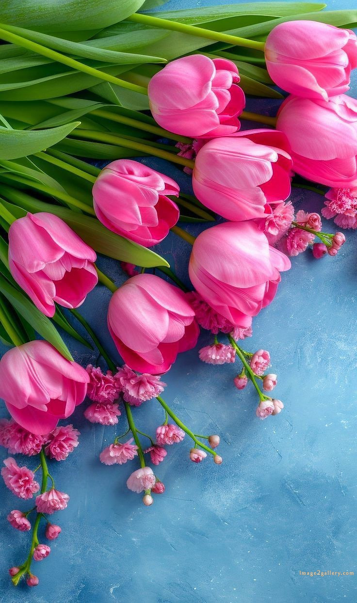 700+ Cute Flower Wallpaper Free Download | Beautiful Flowers Wallpapers for Mobile | 177 wallpaper flower hd -(8)