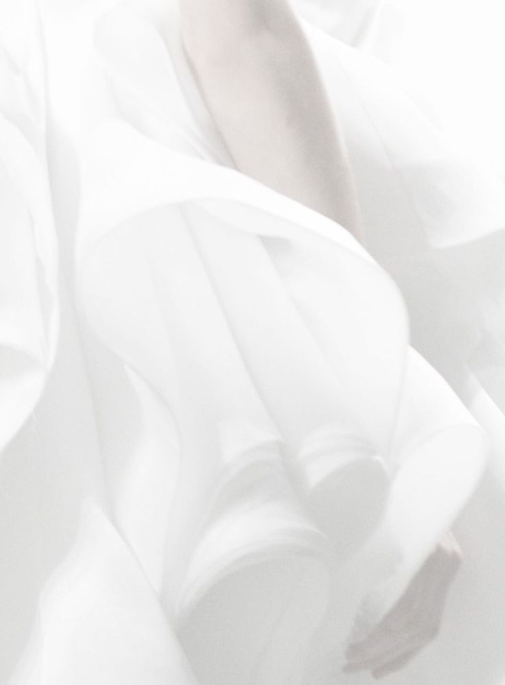 500+ White Background Image Free Download | White Background | 369 white ba -(1)