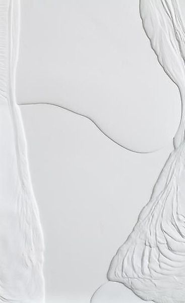 500+ White Background Image Free Download | White Background | 360 white ba -(10)