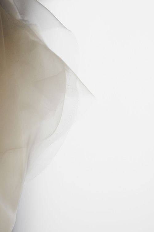500+ White Background Image Free Download | White Background | 352 white ba -(14)