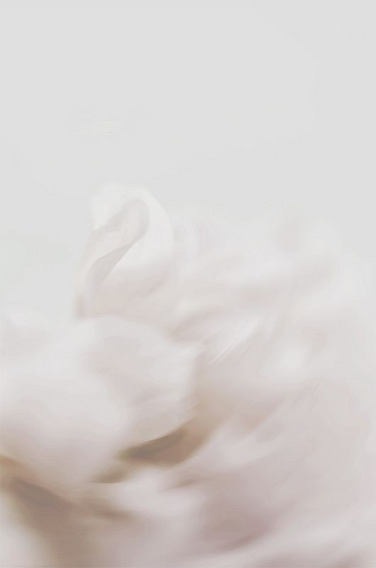 500+ White Background Image Free Download | White Background | 363 white ba -(8)