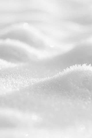 500+ White Background Image Free Download | White Background | 334 white bac -(10)