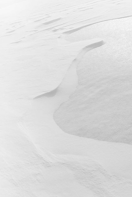 500+ White Background Image Free Download | White Background | 338 white bac -(9)