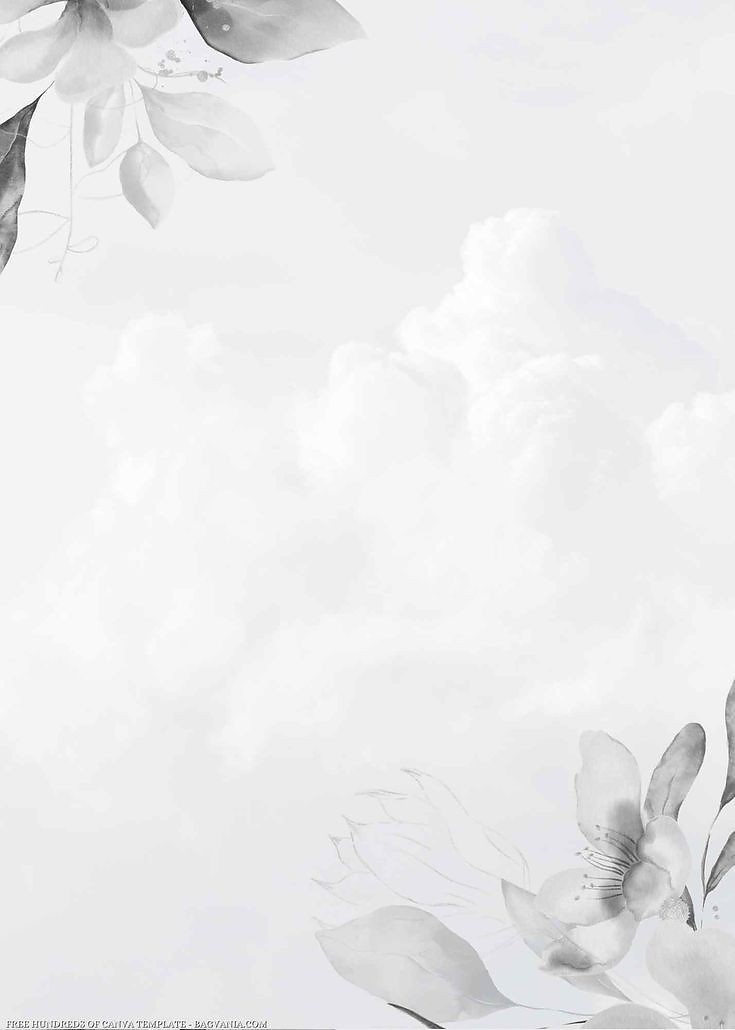 500+ White Background Image Free Download | White Background | 304 white background -(20)