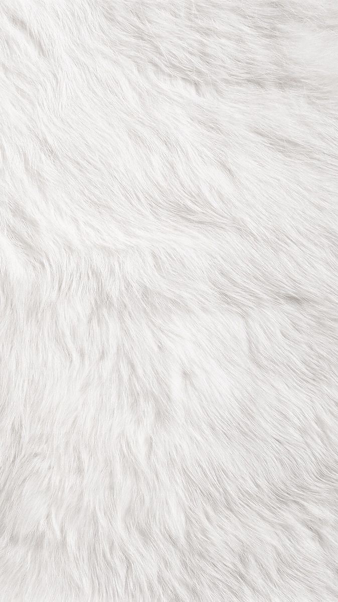 500+ White Background Image Free Download | White Background | 277 white background background -(23)