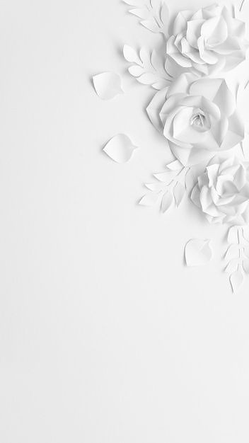 500+ White Background Image Free Download | White Background | 276 white background for pictures -(1)