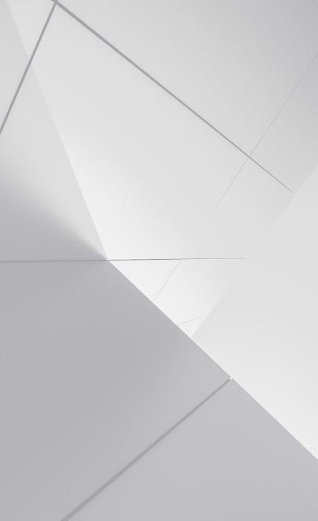 500+ White Background Image Free Download | White Background | 260 white background for pictures -(14)