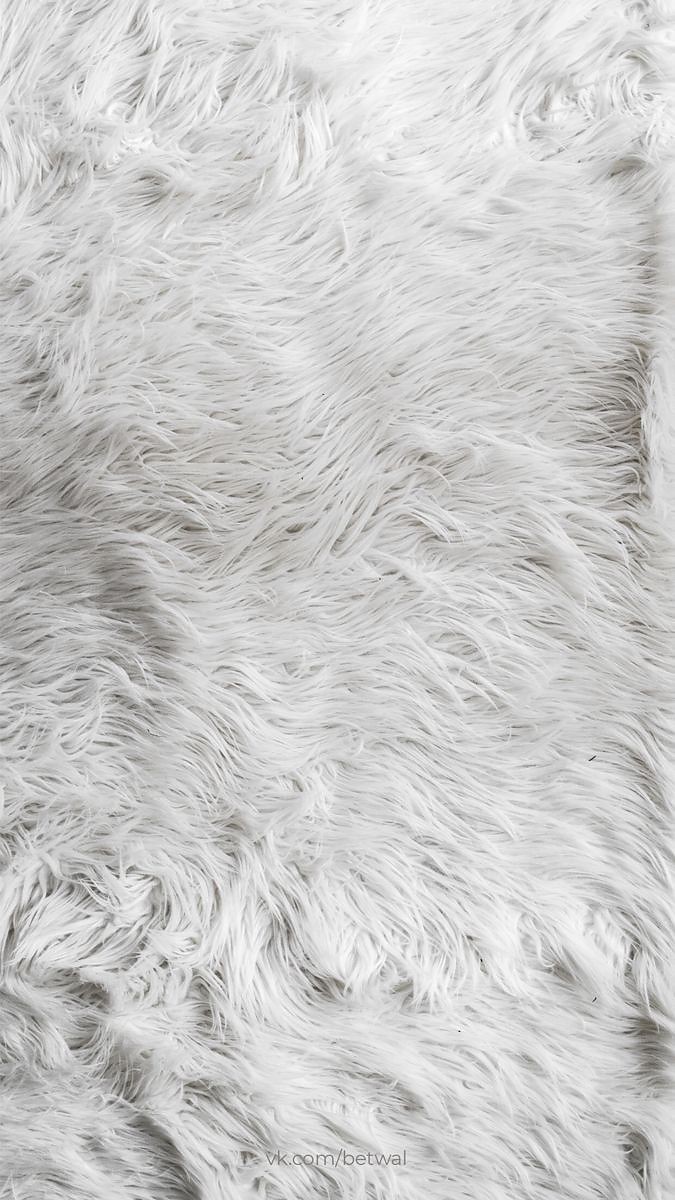 500+ White Background Image Free Download | White Background | 272 white background for pictures -(3)