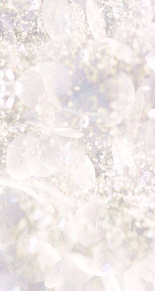 500+ White Background Image Free Download | White Background | 477 white background pics -(11)