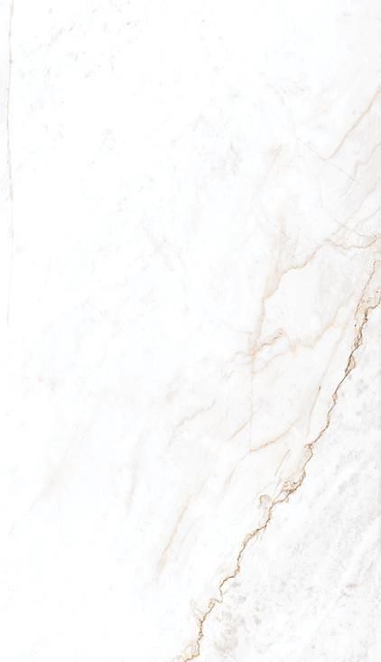 500+ White Background Image Free Download | White Background | 475 white background pics -(12)