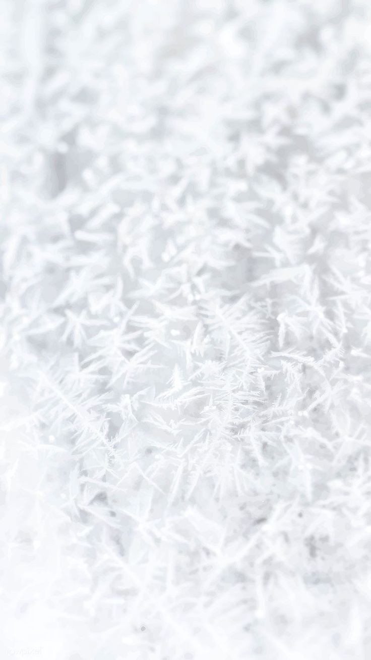 500+ White Background Image Free Download | White Background | 476 white background pics -(13)