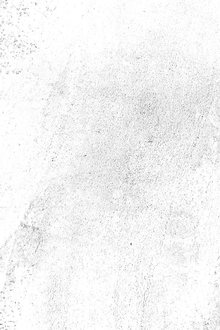 500+ White Background Image Free Download | White Background | 482 white background pics -(6)