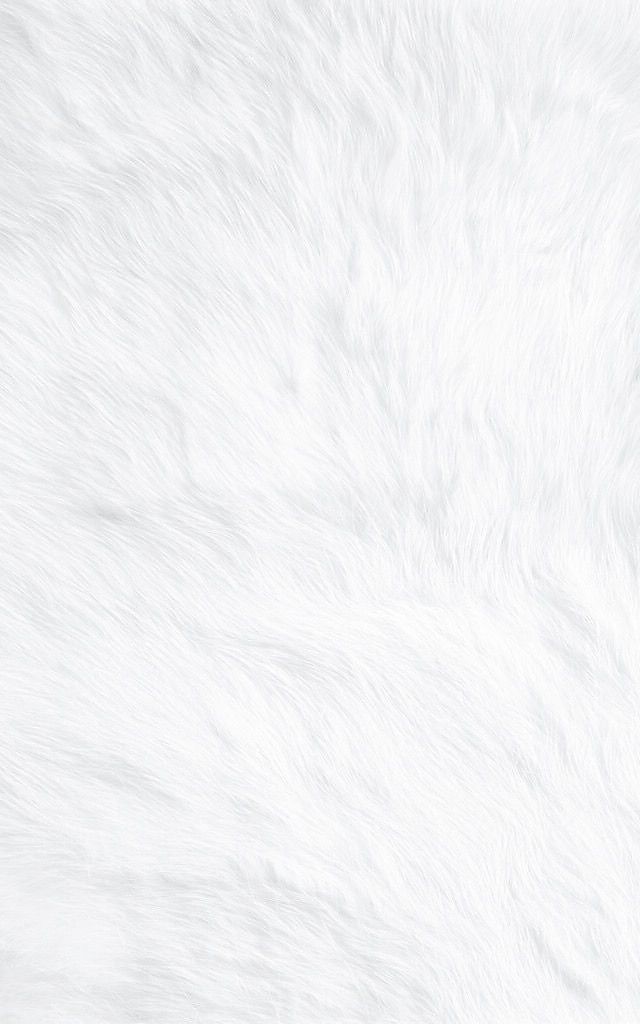 500+ White Background Image Free Download | White Background | 114 white background white -(16)