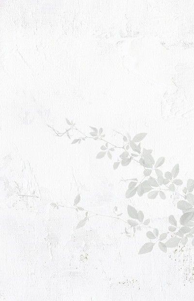 500+ White Background Image Free Download | White Background | 117 white background white -(8)
