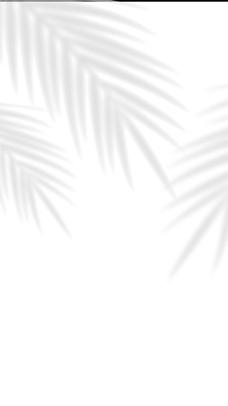 500+ White Background Image Free Download | White Background | 110 white bg -(8)