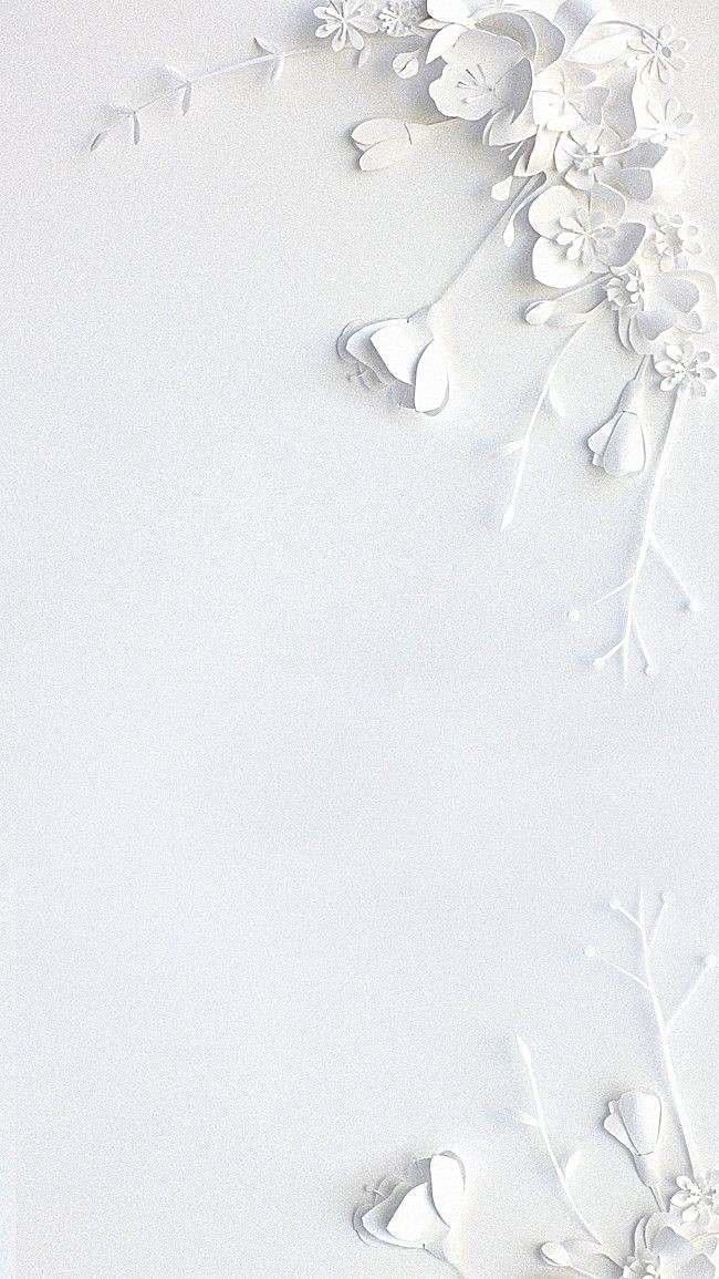 500+ White Background Image Free Download | White Background | 190 white bg image -(11)