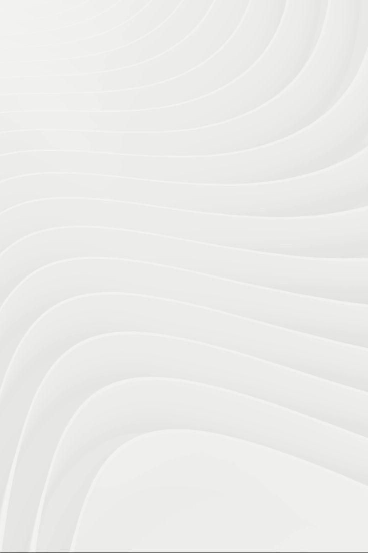 500+ White Background Image Free Download | White Background | 102 white bg image -(7)